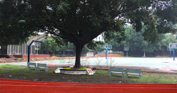 学校运动场景观设计